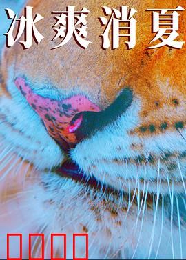 寒冰白血：冰封之爱