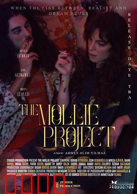 莫莉计划：时间穿越的代价