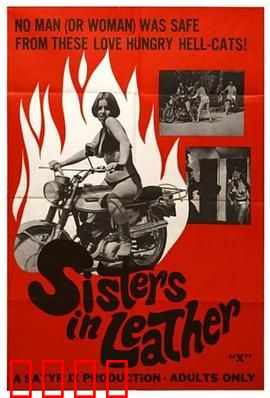 皮衣姐妹：逆转风暴