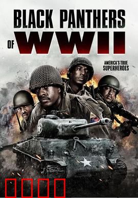 二战黑豹：钢铁猎手