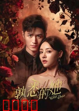 熟悉的她：错爱记忆重塑