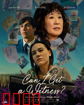 我能有个见证人吗：正义的代价