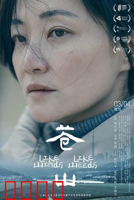 苍山：云深不知处