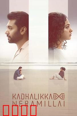 无暇顾爱：职场与真爱的抉择