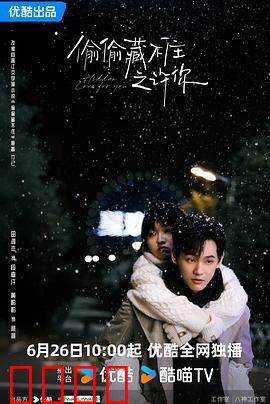 偷偷藏不住之许你：一生一世