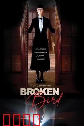 折翼鸟：梦想不灭