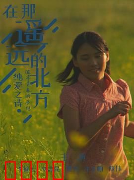 在那遥远的北方：极地寻父