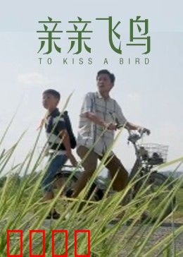 亲亲飞鸟：爱的飞翔