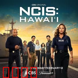 海军罪案调查处：跨国追凶