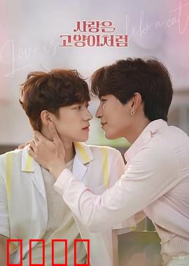 爱情像猫一样：若即若离的浪漫