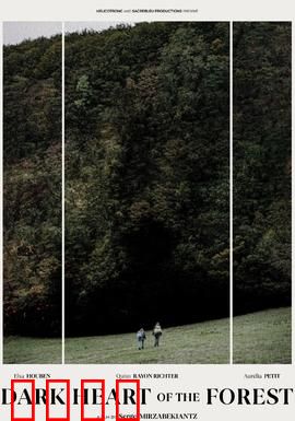 森林的黑暗心脏：诅咒的起源