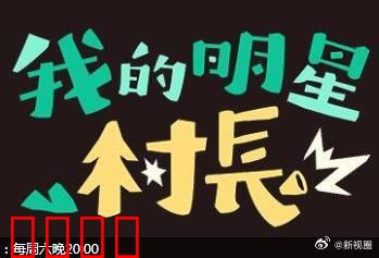 我的明星村长：乡村变形记