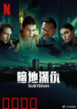 暗地深仇：卧底迷局