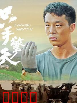 只手擎天：独臂传奇