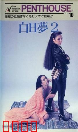 白日梦2：梦境与现实