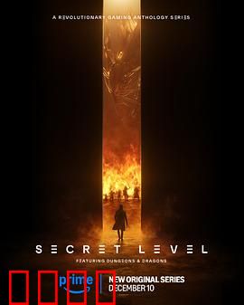 秘密关卡：暗影迷宫