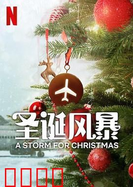 圣诞风暴：风雪中的温情