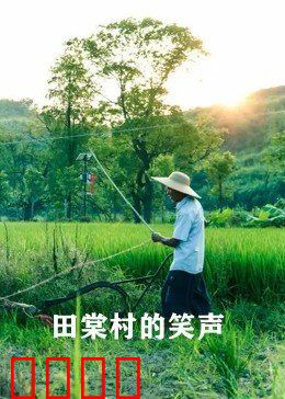 田棠村的笑声：致富路上的欢乐曲