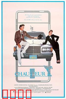 我的司机：沉默的守护者