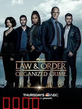 法律与秩序：正义追踪