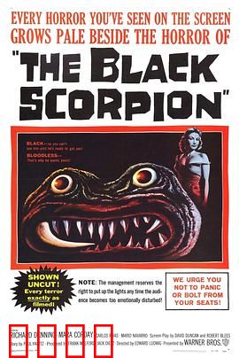 黑蝎：致命毒刺危机