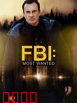 联邦调查局：破案奇兵