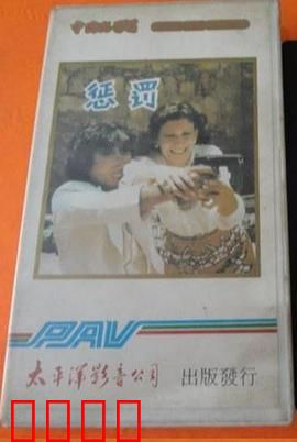 惩罚1980：铁血复仇路