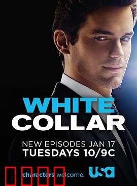 妙警贼探第三季：双雄戏局