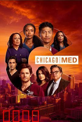 芝加哥急救第六季：生死考验