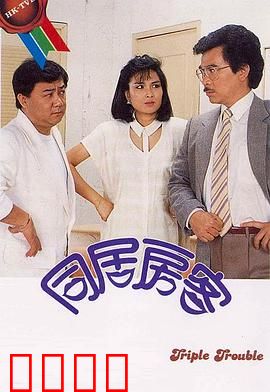 同居房客粤语：爱情与谎言