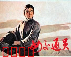 女交通员：绝密护送任务