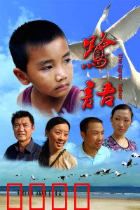 鹭语：人与自然的低语