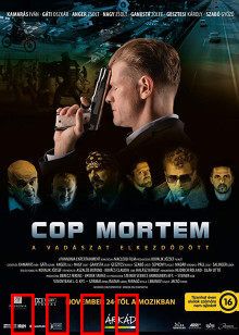 怒火警探：烈焰复仇