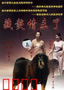 藏獒情未了：忠诚守护