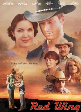 隐形红翼：空天猎杀