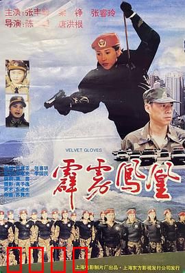 霹雳凤凰：铁血女警