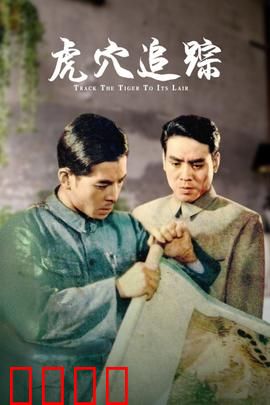 虎穴追踪：智勇破局