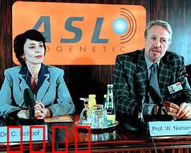 真假疑凶：迷局中的真相