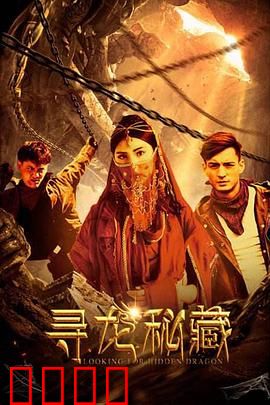寻龙秘藏：古墓迷踪