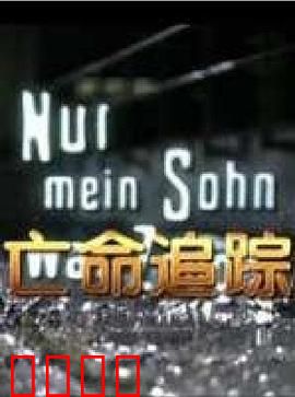 亡命追踪：绝地反击