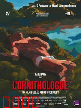 鸟类学家：迷途与救赎