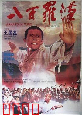 八百罗汉：僧兵抗日传奇