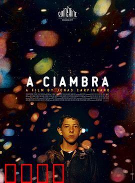 罗姆男孩：逆境中的闪耀