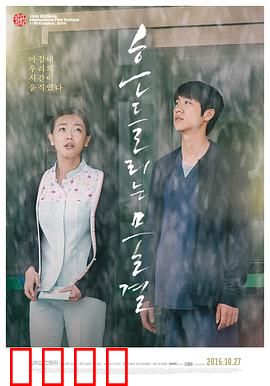 绽放2015：花艺人生