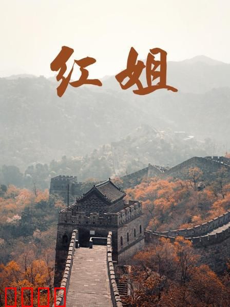 红姐2017：守护的承诺