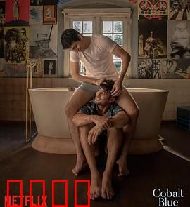 钴蓝爱恋：蓝调情缘