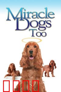 天降神犬2：神犬再救主