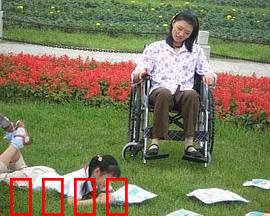 小小心愿：温柔的梦想启航