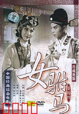 女驸马：才女救夫逆袭记