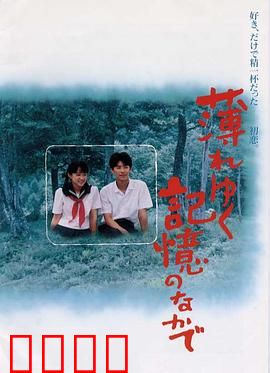 渐渐淡薄的记忆：爱的痕迹